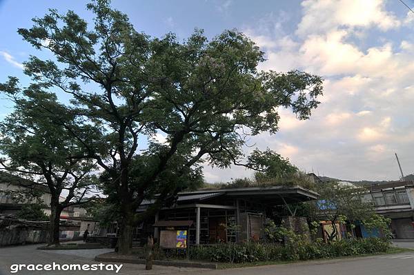 葛瑞絲玩宜蘭= 旅遊=港邊社區 無尾港水鳥保護區 岳明國小