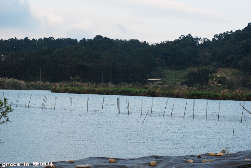 宜蘭旅遊~雙連埤~在那河畔青草青~ 宜蘭旅遊~雙連埤~在那河畔青草青~
