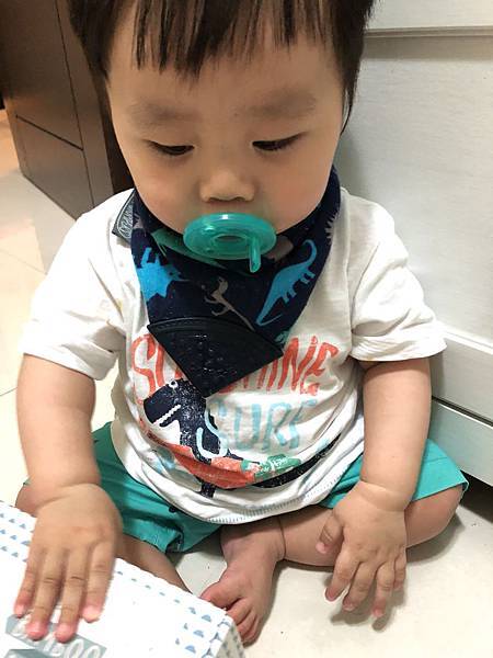 IMG_3379.JPG IMG_3379.JPG