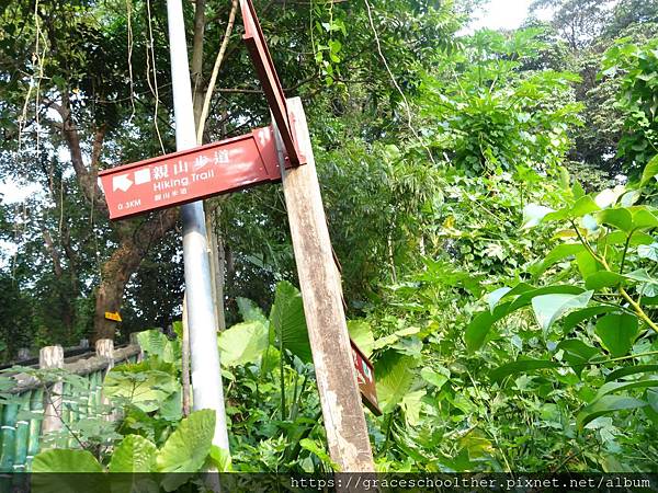 DSC03034.JPG DSC03034.JPG