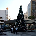 P_20201124_155417.jpg