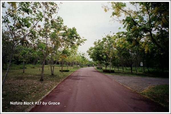 台東森林公園