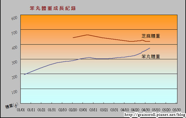 笨丸體重暴增