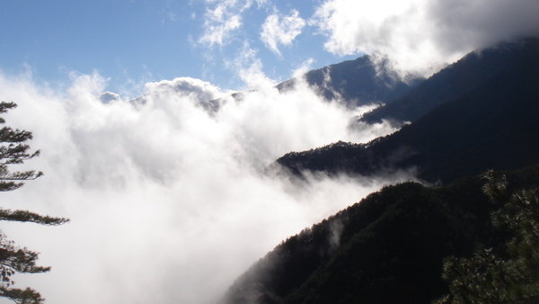 雲海系列