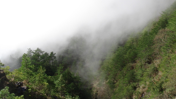 雲海系列