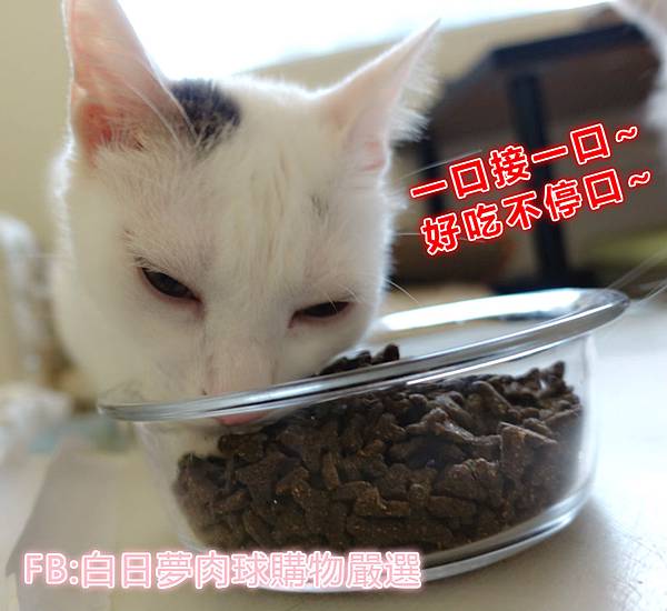 乾糧5.jpg 乾糧5.jpg