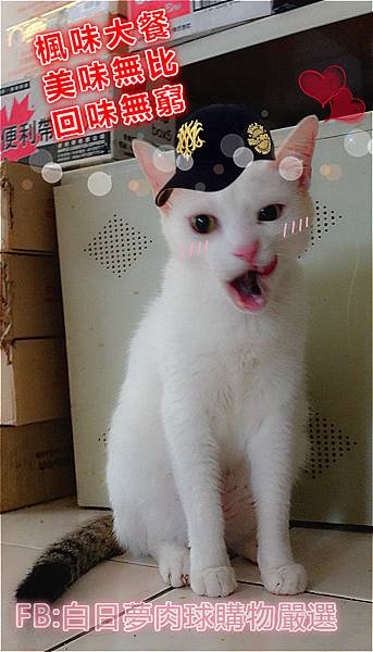 乾糧6.jpg 乾糧6.jpg