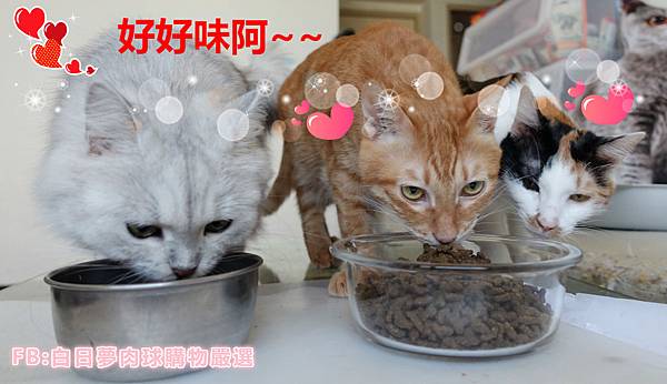 乾糧3.jpg 乾糧3.jpg