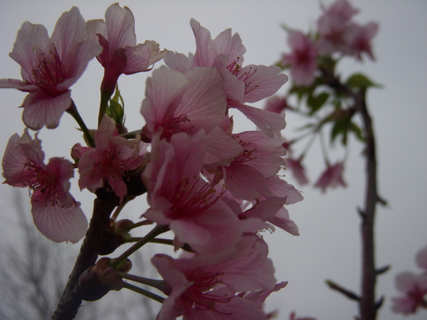 DSCN8189.JPG