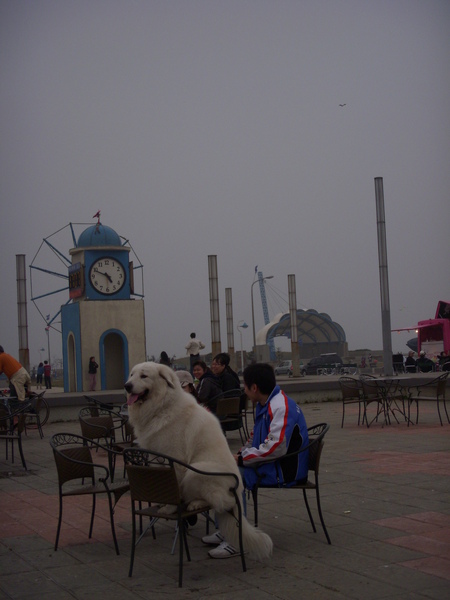 DSCN8216.JPG
