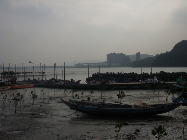 DSCN8564.JPG
