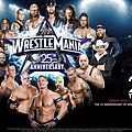 wwe-wrestlemania-25-live.jpg