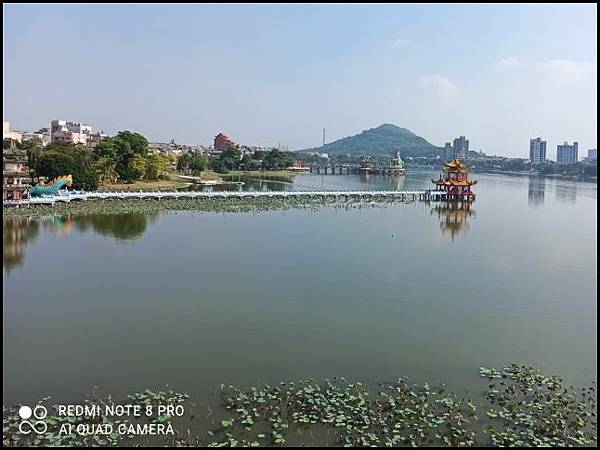 IMG_20201011_092516.jpg IMG_20201011_092516.jpg