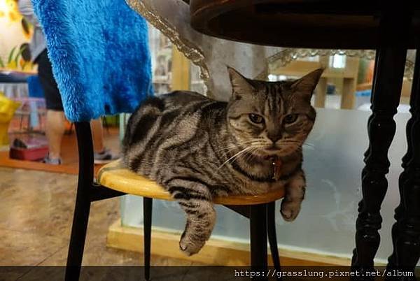 307574022_10159881953859242_7029636136743110246_n.jpg 307574022_10159881953859242_7029636136743110246_n.jpg