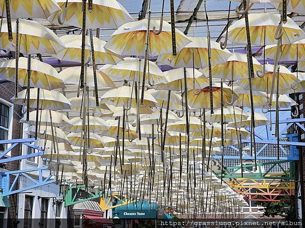 20230910 花日本九州員工旅行草跟著去Day2 20230910 花日本九州員工旅行草跟著去Day2