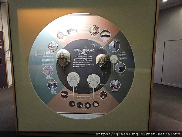 20230911 花日本九州員工旅行草跟著去Day3 20230911 花日本九州員工旅行草跟著去Day3