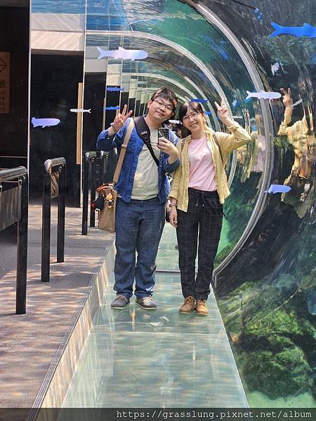 20230911 花日本九州員工旅行草跟著去Day3 20230911 花日本九州員工旅行草跟著去Day3