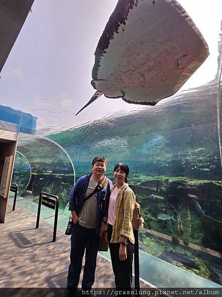 20230911 花日本九州員工旅行草跟著去Day3 20230911 花日本九州員工旅行草跟著去Day3