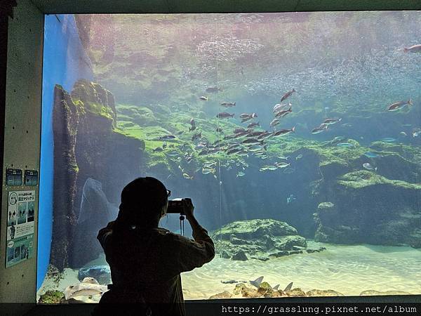 20230911 花日本九州員工旅行草跟著去Day3 20230911 花日本九州員工旅行草跟著去Day3