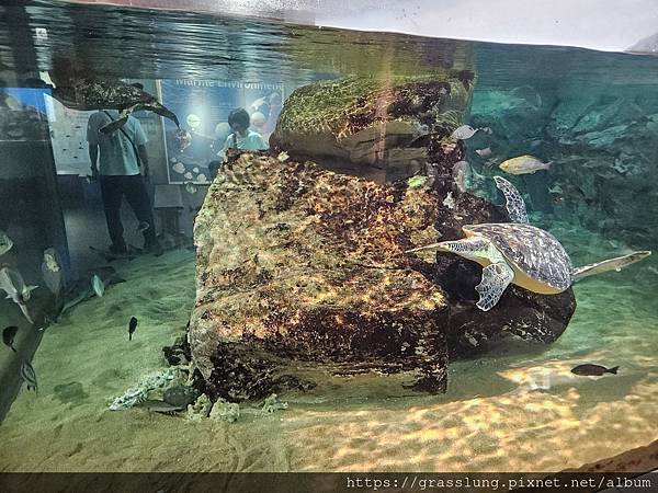 20230911 花日本九州員工旅行草跟著去Day3 20230911 花日本九州員工旅行草跟著去Day3