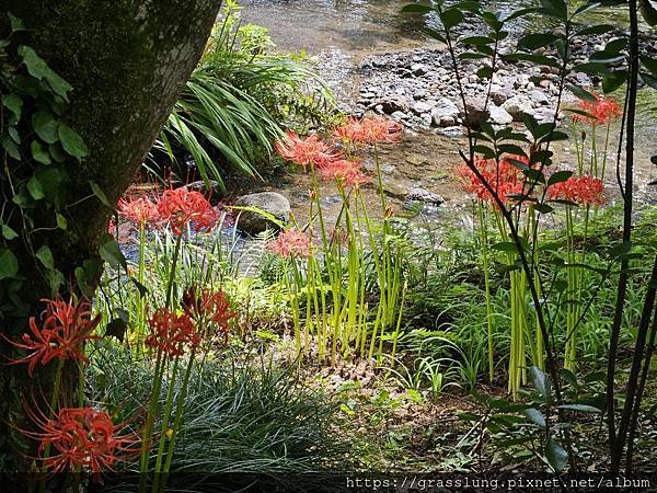 20230912 花日本九州員工旅行草跟著去Day4 20230912 花日本九州員工旅行草跟著去Day4