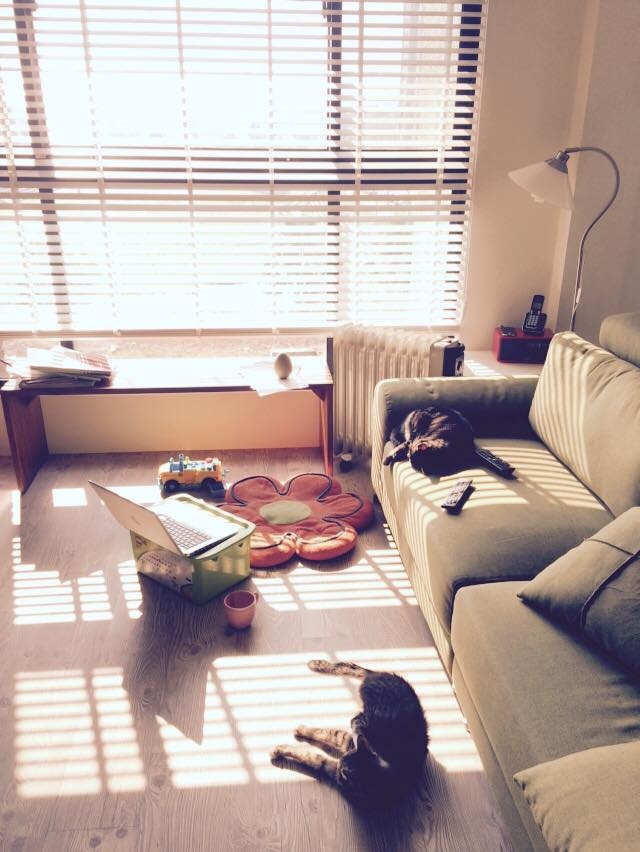 0330-3.jpg 0330-3.jpg