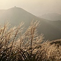 [風景攝影]陽明山大屯主峰賞芒草-3