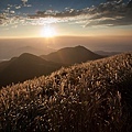 [風景攝影]陽明山大屯主峰賞芒草-14