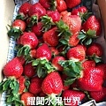 台產草莓2.jpg