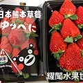 熊本草莓1.jpg