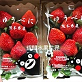 熊本草莓3.JPG