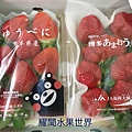 雙拼草莓.JPG