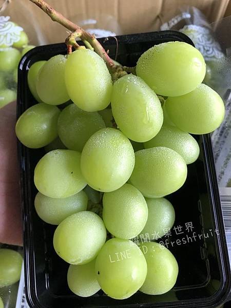 “Shine Muscat”日本麝香葡萄－晴王