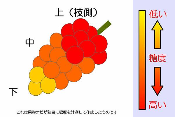 食用順序.jpg