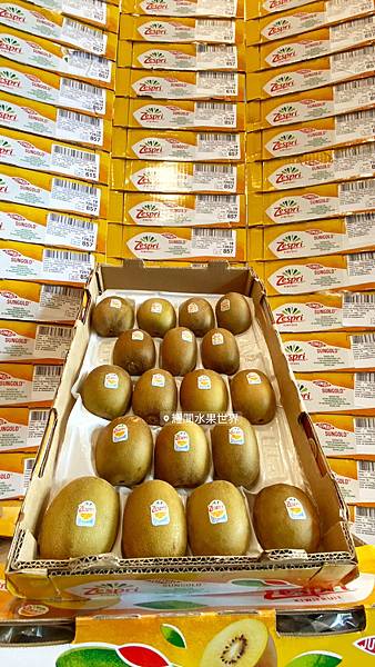 係金A 😎 紐西蘭巨大黃金奇異果 在耀聞