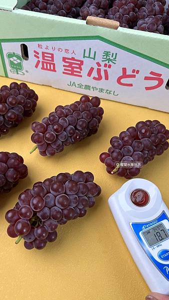 日本皇室御用的珍品 🤩 珍珠葡萄