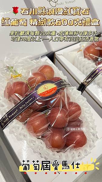 葡萄屆愛馬仕✨ 石川縣浪漫紅寶石紅葡萄 來囉