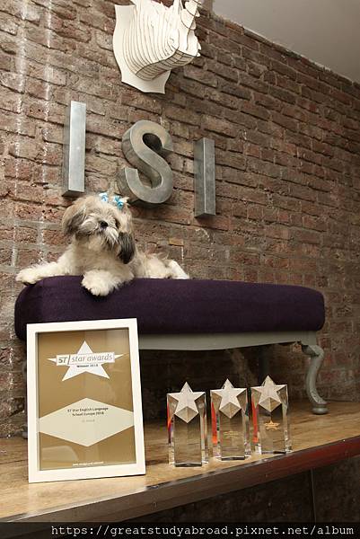 1562058522958.jpg 1562058522958.jpg