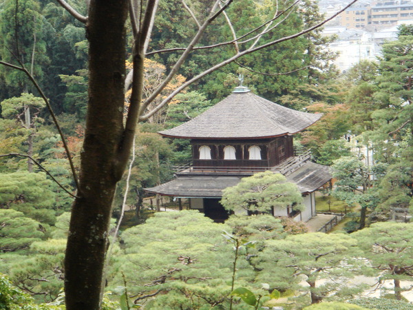 很喜歡日本的廟都有小山可以爬 看看風景