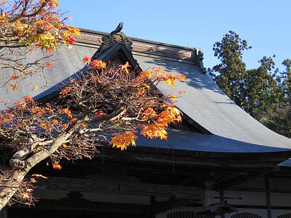 10-中尊寺 (67)