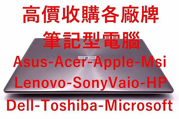 Asus ZenBook XU303UB i7-6500U 8G 256G SSD 13吋(2)改改.jpg