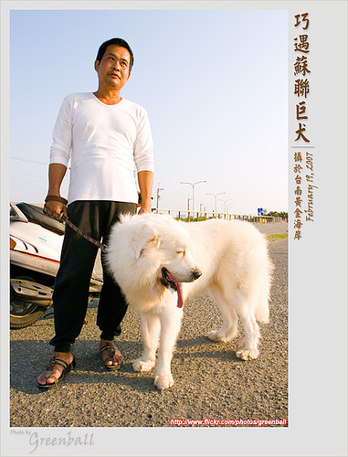 蘇聯巨犬_5517415452912.jpg