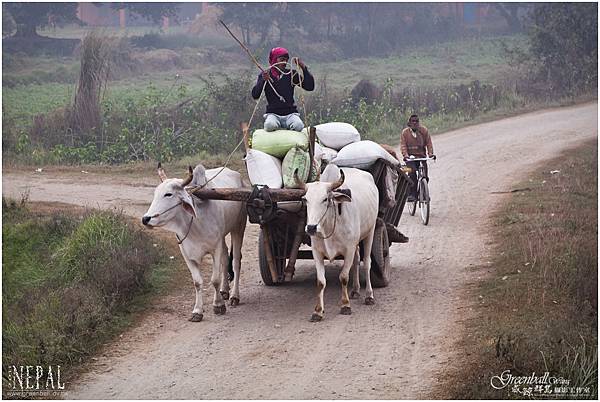 Nepal-2011-3446