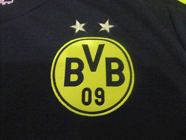 BVB 201314(A)--隊徽.JPG