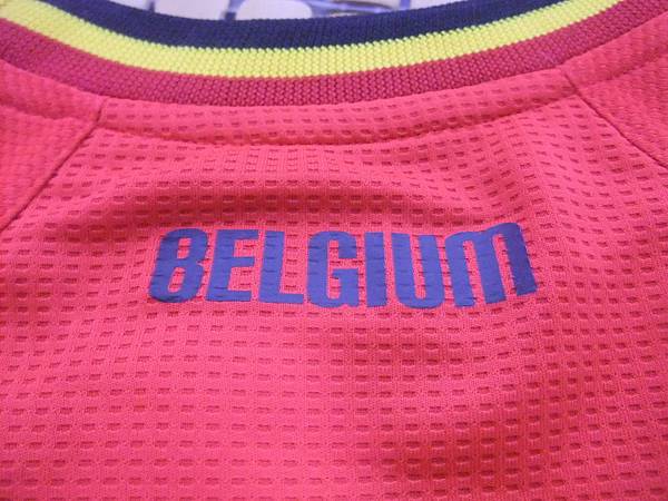 Belgium 2014 WC (H) - 後領.JPG