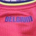 Belgium 2014 WC (H) - 後領.JPG