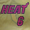 Miami Heat 2000-05異色--胸前.JPG