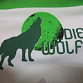 VFL Wolfsburg 201112 Home--衣領.JPG