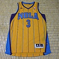 New Orleans Hornets 201011 Alternate - 正面.JPG