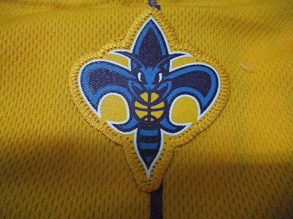 New Orleans Hornets 201011 Alternate - 隊徽.JPG